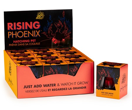 Phoenix Rising: The Enchanted Volcano Discovery