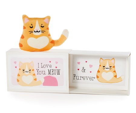 Cat Pocket Hug w/Gift Box